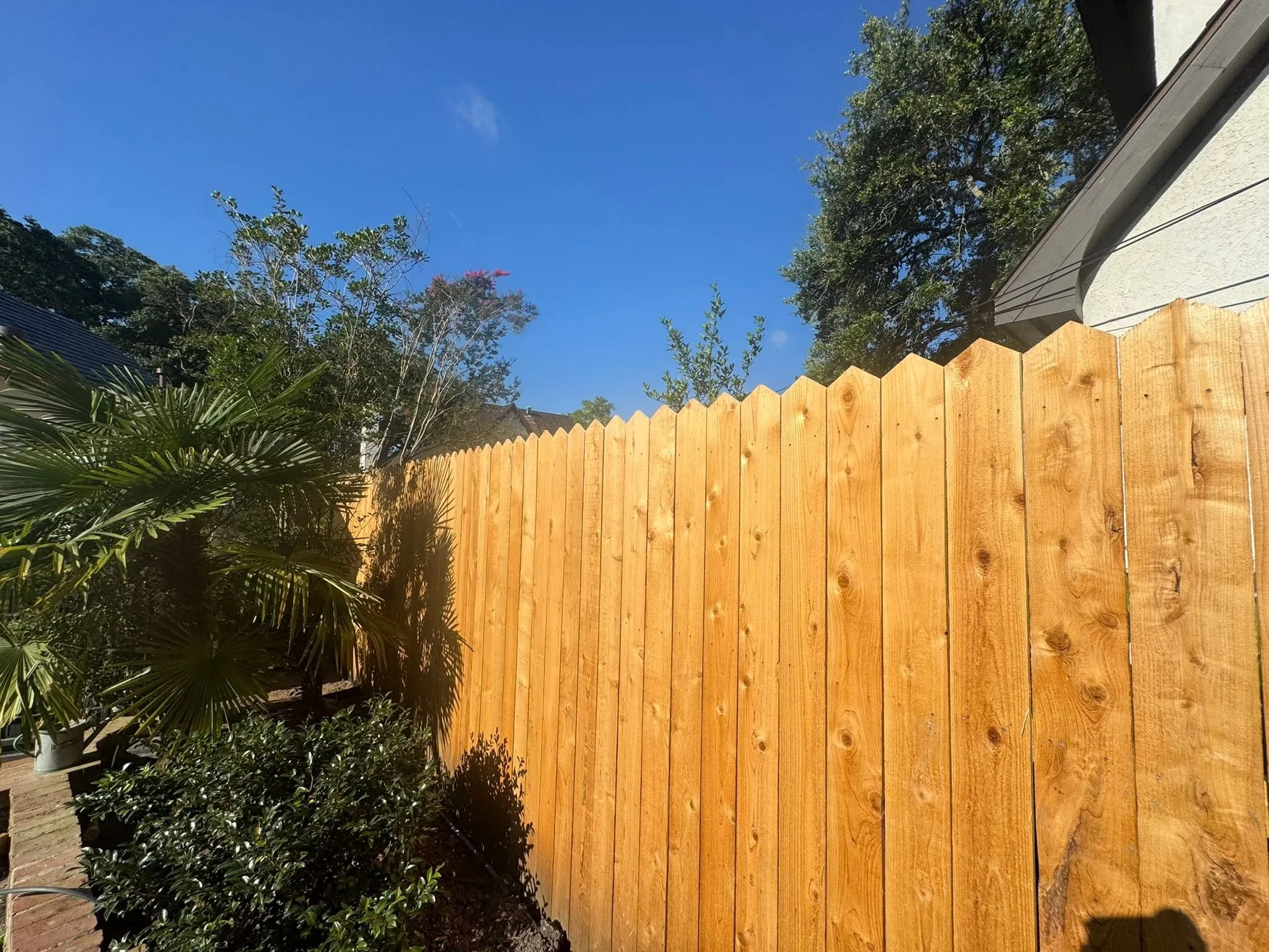 New wood privacy fence in a Baton Rouge backyard showing a common residential fence height and side-yard placement